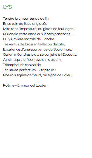 LYS Tendre brumeur tendu de lin Et ce tain de l’eau englacée Miroitant l’imposture, au glacis de feuillages Qui cisèle cette onde aux lentes patiences… O Lys, rivière sacrale de Flandre Tes vertus de brasser, teiller ou décatir, Excellence d’une eau venue du Boulonnais, Qui en méandres plats se conjoint à l’Escaut… Ainsi naquit la fleur royale : lis bloem, Triomphal iris tricuspide, Ter unum perfectum, O trinitaire ! Nos rois signés de fleurs, au signe de Loys ! Poéme - Emmanuel Looten
